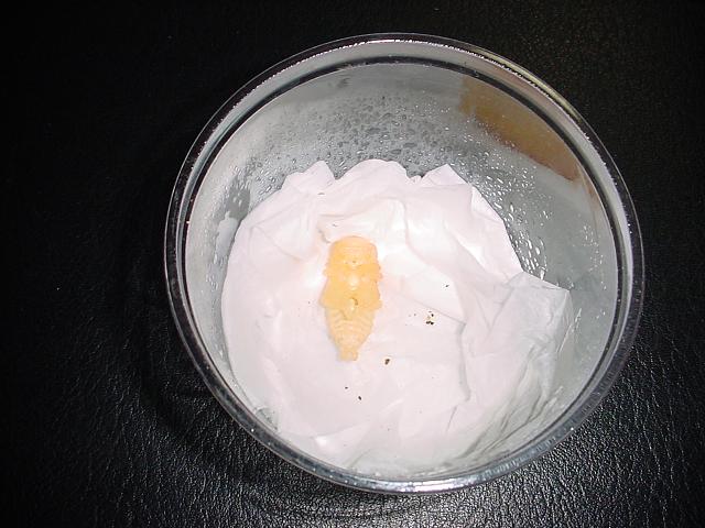 Figure 5.1  Shown in this picture is a female pupa. Captive reared by the author.