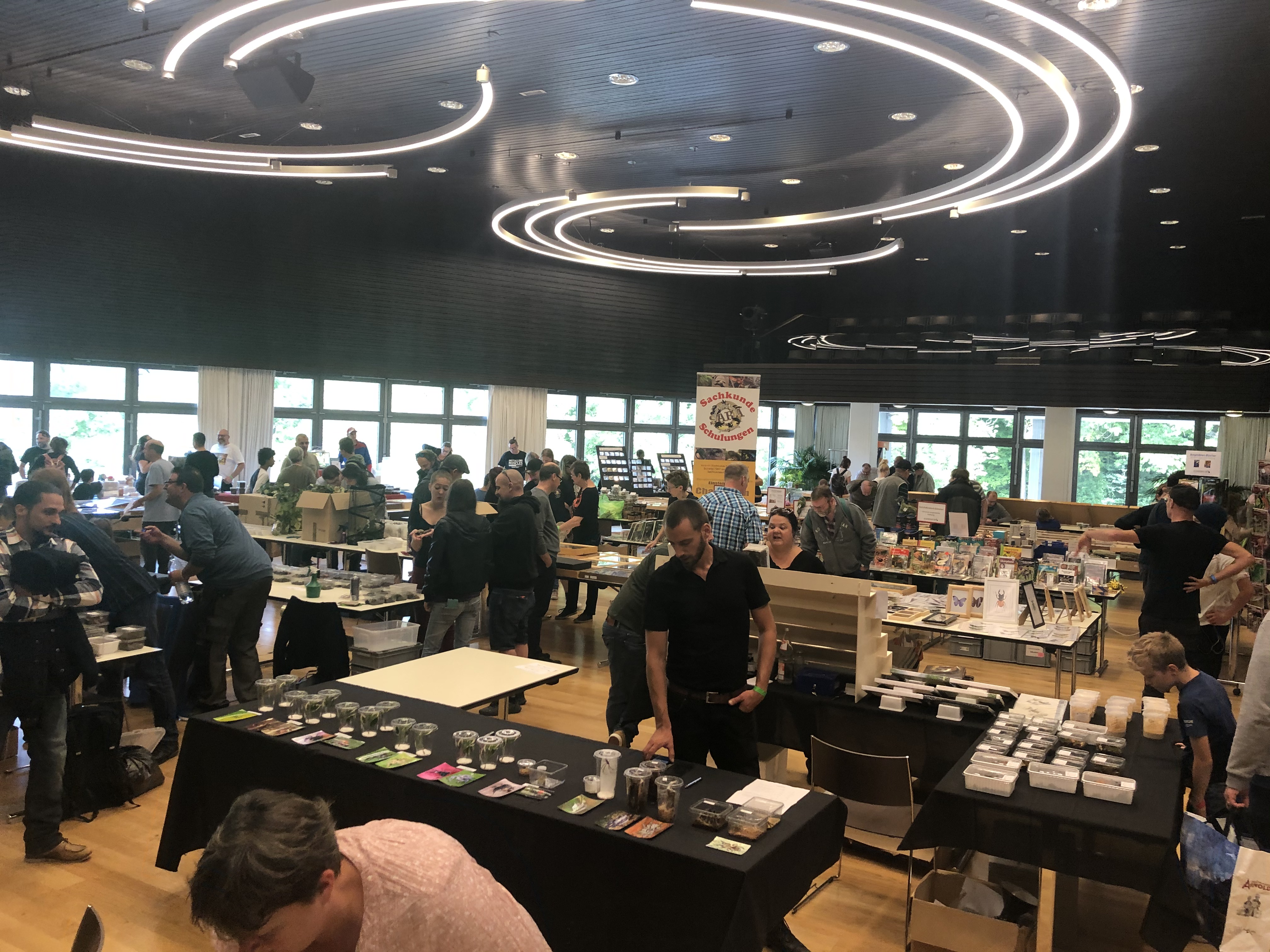 View of the insect fair in Kloten, Switzerland 2019